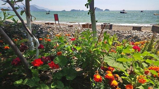 Okaliptus Restaurant Plaj Ve KahvaltI Salonu